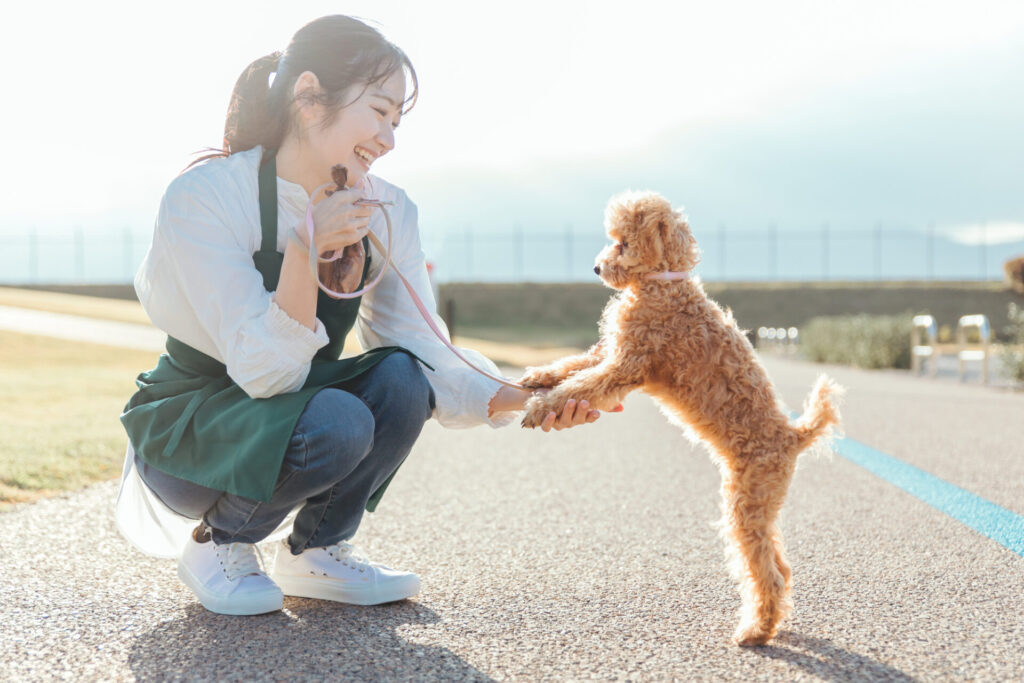 犬にしつけが必要な理由と基本！幸せな共生のためのポイント徹底解説